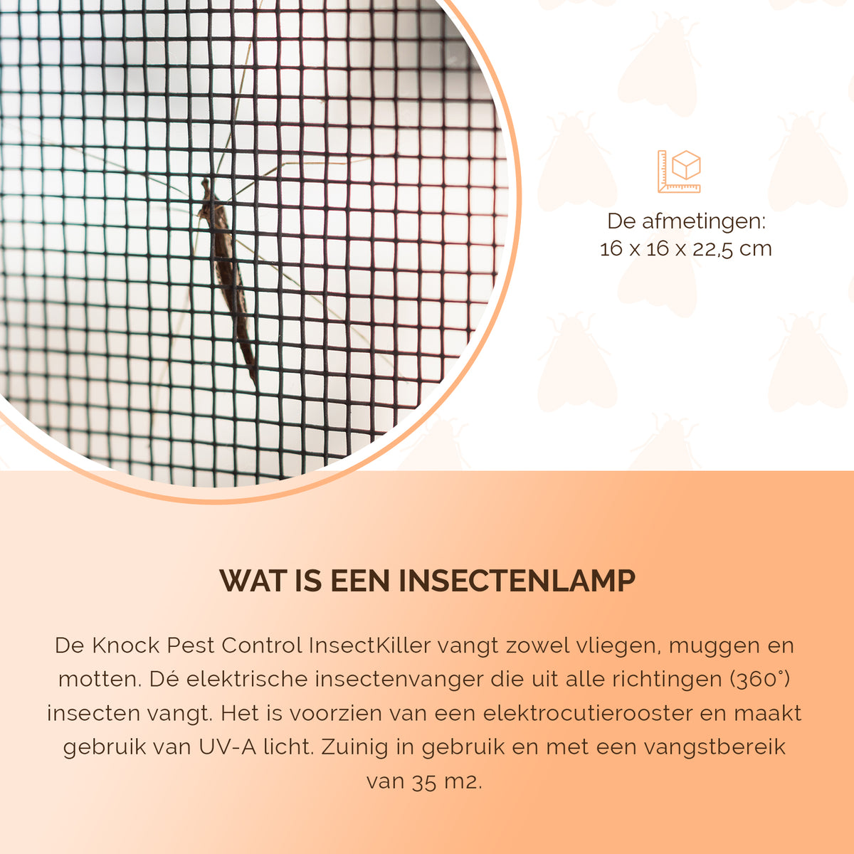 hofman-image:1d6d2a19bf64d43485021ed80e9b70134fb6e4ec7b2b7f05334d7bc4d6f1d0c6