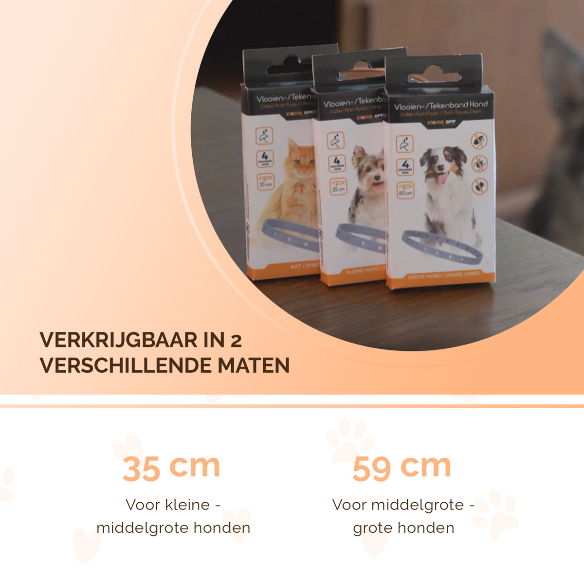 hofman-image:b493dda3504a399f311a5c71a1ee666544359b7f7044b54ebfa8f9ee0efe8f1b