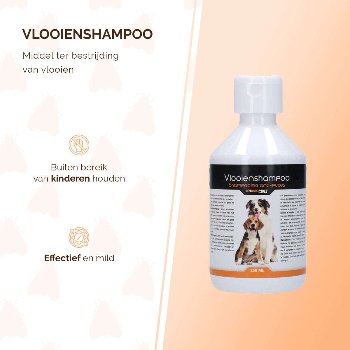 hofman-image:1681a33ff8177eb069f4d16b9e8505b150a62e549a5bf7a2a2c016387a7178e1