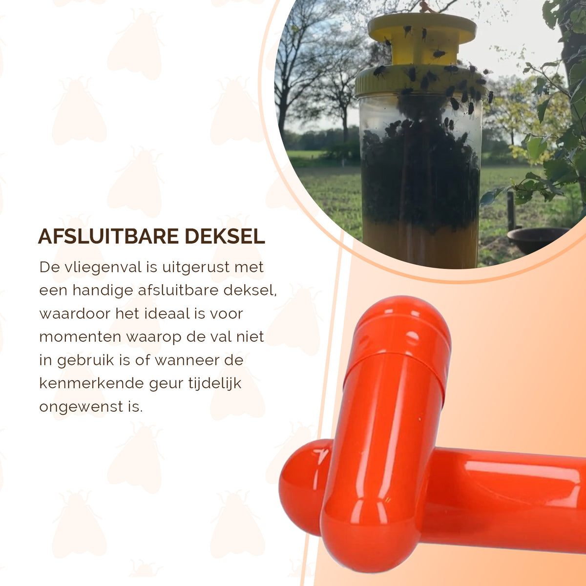 hofman-image:3edede358d938b7a392ad9f89abce72f2e2b5fb44e51fffe8b116418a63b07e3