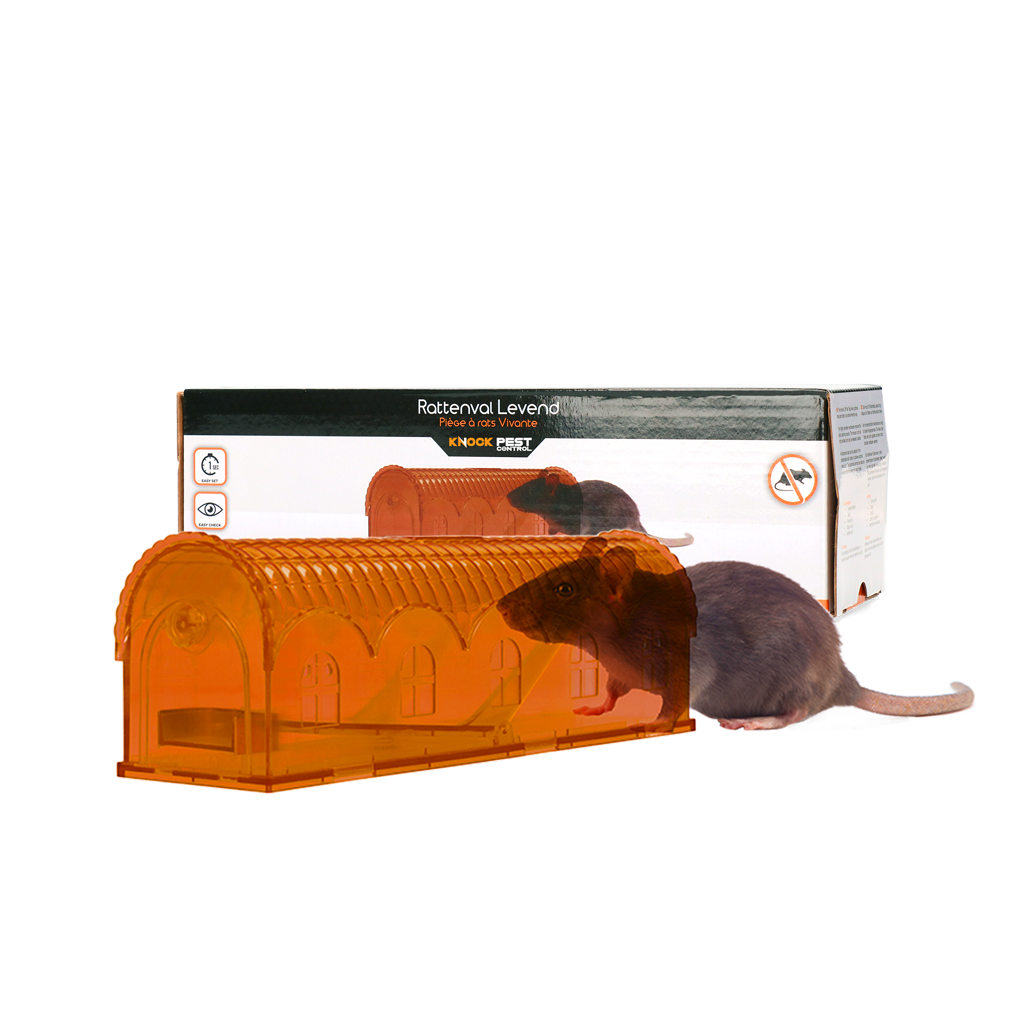 hofman-image:1c9cb85ef63efb2b4616c2464dfe2f8b82a3340a1aac7bc6e1778ea9e260e6e4