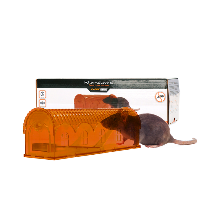 hofman-image:1c9cb85ef63efb2b4616c2464dfe2f8b82a3340a1aac7bc6e1778ea9e260e6e4