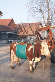 hofman-image:75b3e7e719b93b8b3d687835391431948b76b356fe70ca2e4feec6a7e4543b0b