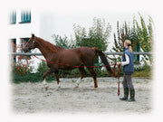 hofman-image:ee0b463eeea40d7f39bcb968d340ce6e3034c5e43d956adf774065e8bd86fe59