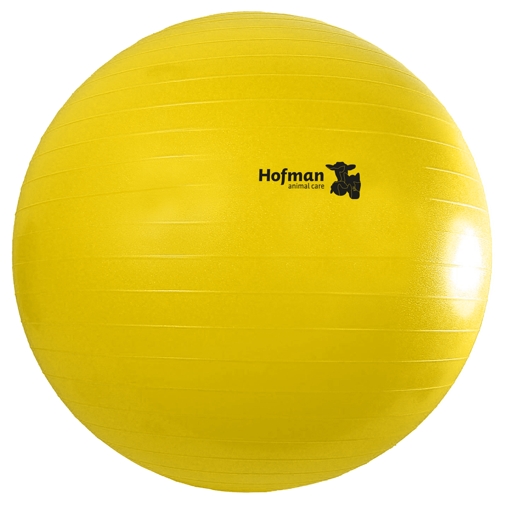hofman-image:64ac5554696d39b6becd61b4a70762b1919df400c6bb3c28866176aa510f920b