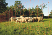 hofman-image:8fd521dedb93c522e53dc49e8273299b4d8890563c9ee2b04cd8e4ccecc36e87