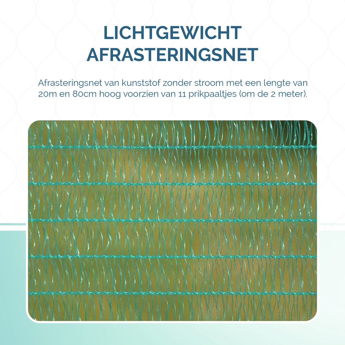 hofman-image:1c9d67cc8d0c1daa2072e30de535ed227c0ba061779c8613db5c5de0248cdf5e