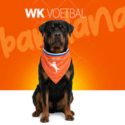 hofman-image:9186d58c26438093893af6eab8638d964c9af0343ddcba959debe4933f7a514f