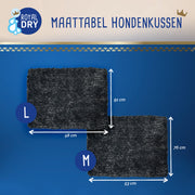 hofman-image:81bc287a77ccd8eb30e96f4d7282d8f8c04d7ce558e3339ec07416031ba3038e