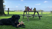 hofman-image:d583c8fea03cbcf1287eac5a0708cc9b58e2d4b864a958a69b994b2f87c0ebd6