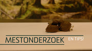 hofman-image:c7127eecd81b7f7b908248a2226e88f4bcb0197a1580c016f4b3165a20350304
