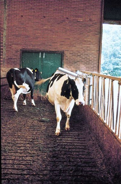 hofman-image:9956e139d21e21e541e855c6ba22d2daf82cb60cc7cafd73fbe17b0cd80cd4cc