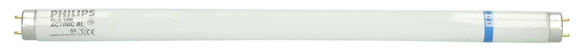 hofman-image:d62c66a731a755289e0bc2647bed2c31677f83287e5947399a2b1832337f5ecf
