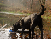 hofman-image:dc4bd4d2d29d1682374d05b287777e2daf1f982ef186c799fd5c82787b12f8dc