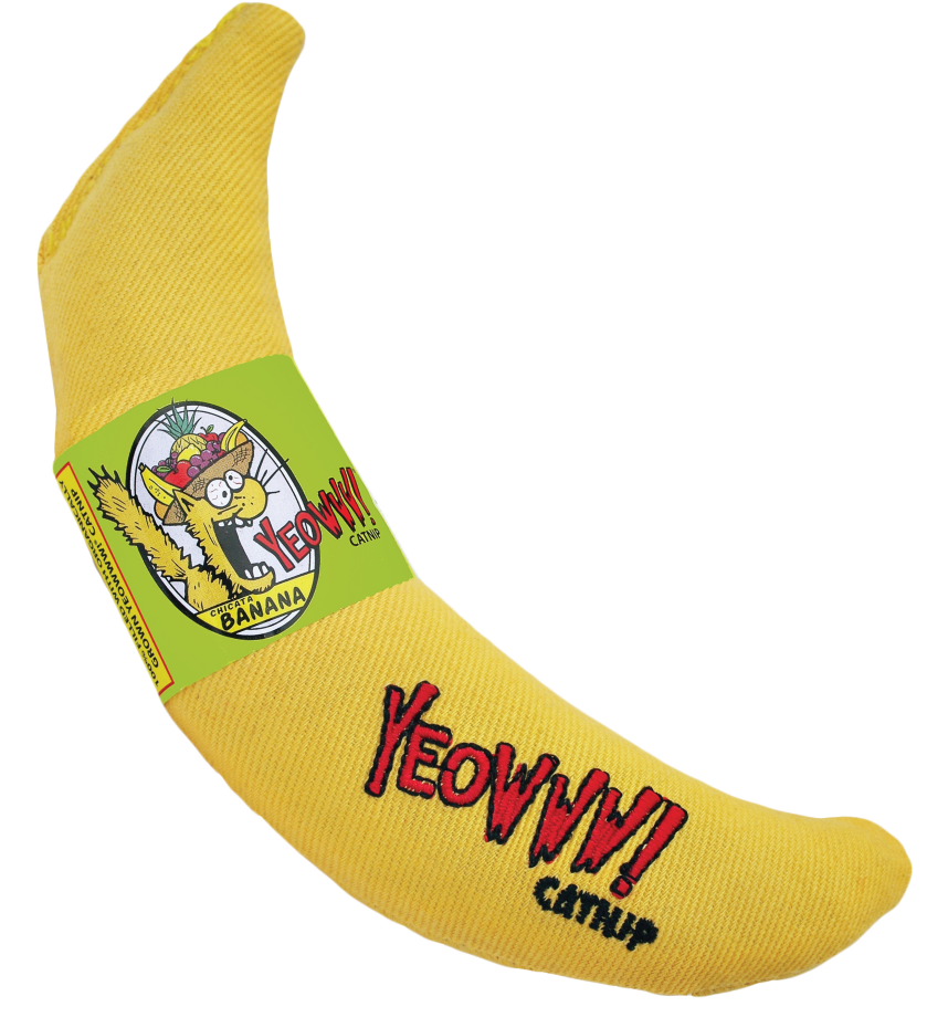 hofman-image:a9d40d59e310a4a02be8929a4ae55a9fd5362e4d4432a54329f12f5cea068185