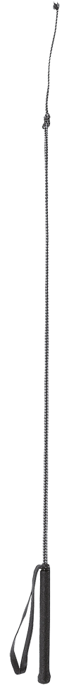 hofman-image:a01fa9cfad1e44e5400de604f2e4f8f65ea1ad63768d0179e418e202ad1f0c38