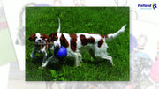 hofman-image:d19a3bbd92f0be7a6ad7310f876f172b34cc2e2652a0c5bafe1268e9419fe324