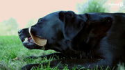 hofman-image:26f44a7bf48ef2ab5489b6ae0079370f50a503f5b5a4ccaa4dff3f26f0c5d060